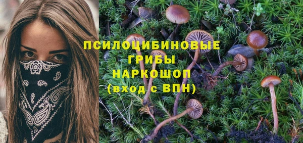 марки lsd Горняк