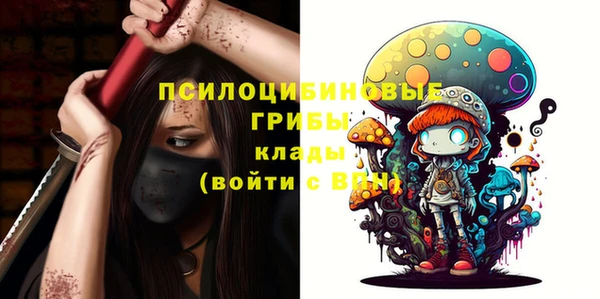 марки lsd Горняк