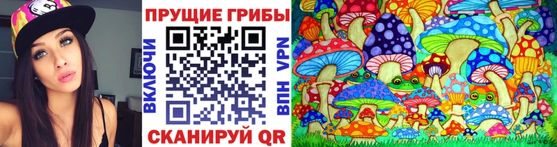 Псилоцибиновые грибы мухоморы продажа наркотиков Няндома