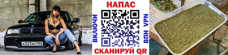 купить  цена  OMG ссылки  Бошки Шишки OG Kush  Няндома 